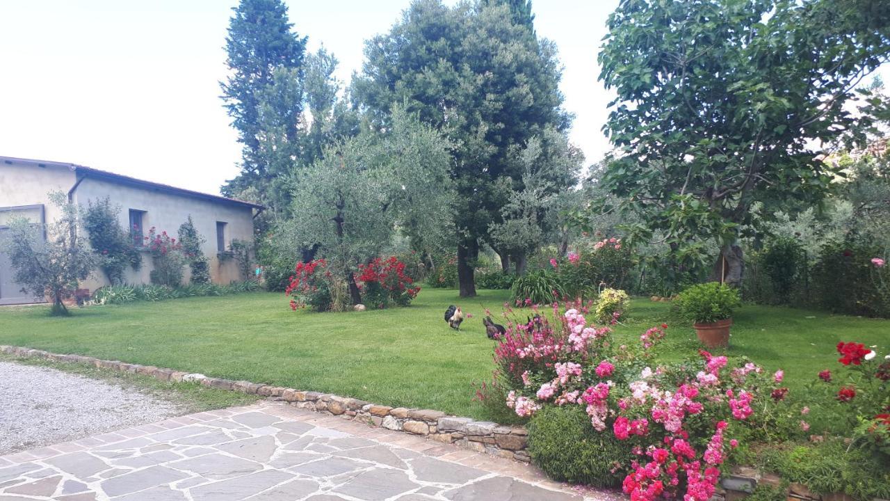 B&B L'Oliveto Lucignano Eksteriør billede